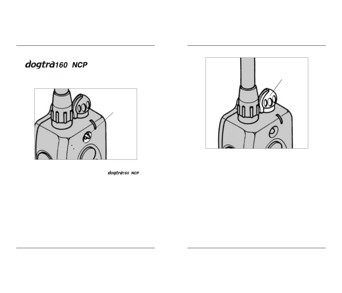 Two-dog models | Dogtra 1600 Series User Manual | Page 6 / 20