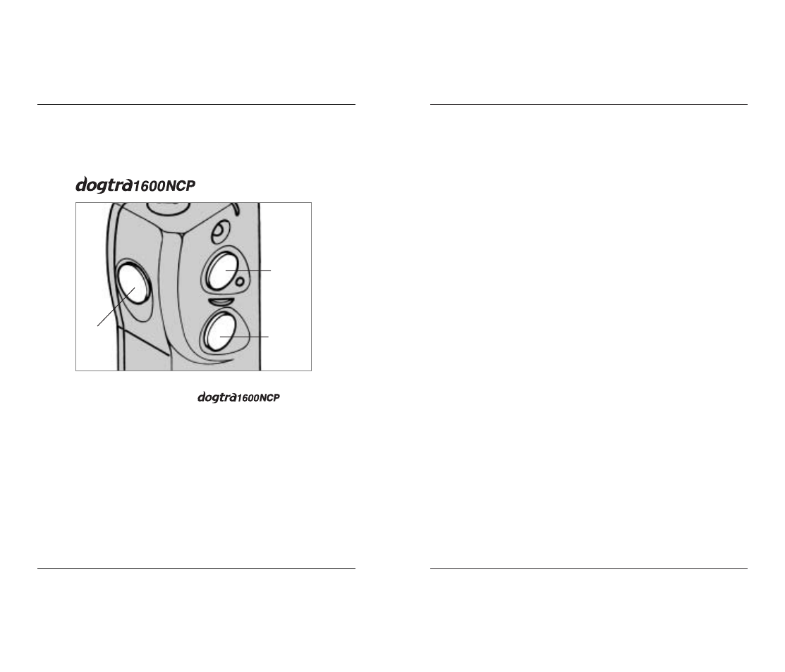 Button function | Dogtra 1600 Series User Manual | Page 8 / 20
