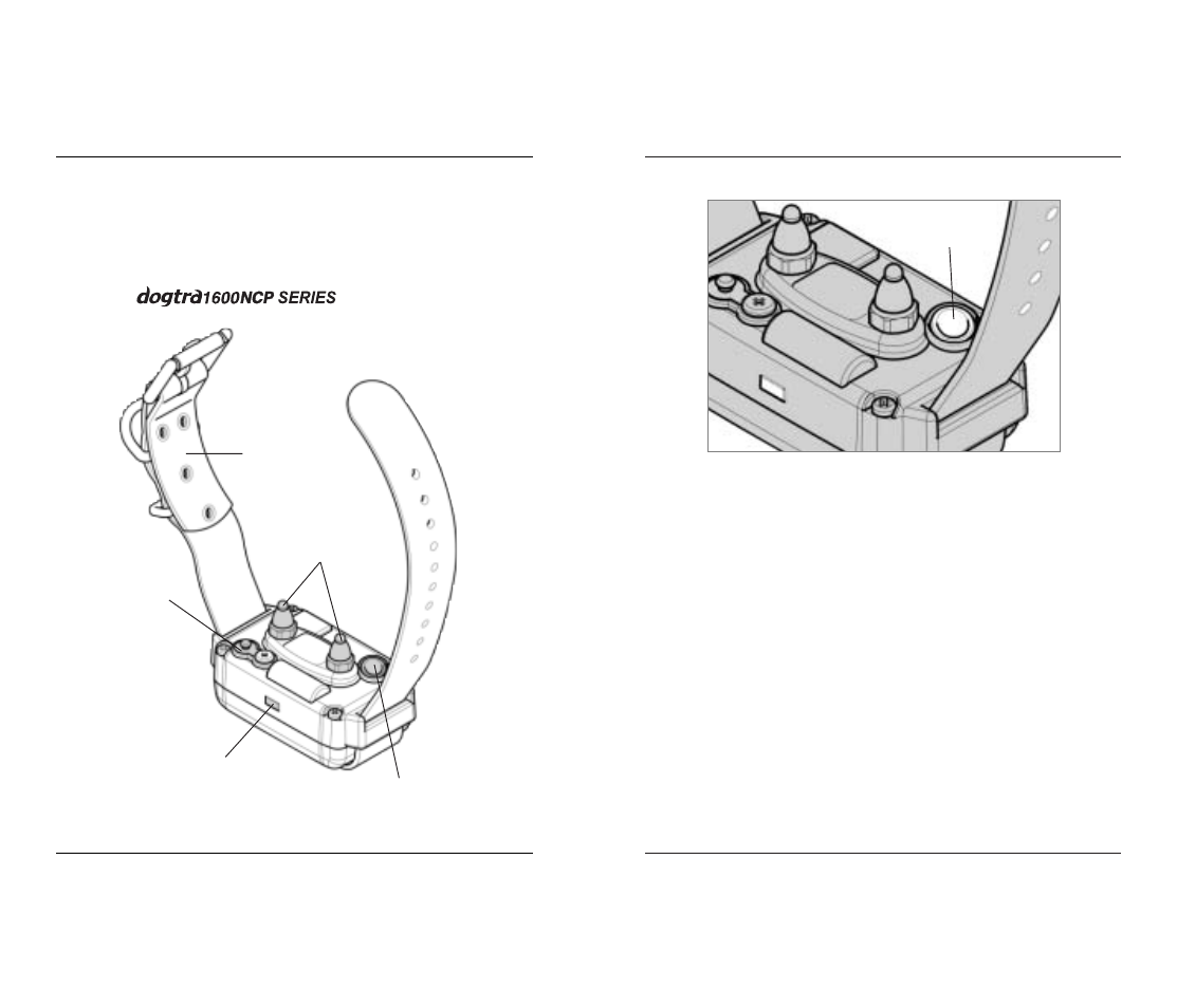 Description of collar / receiver parts | Dogtra 1600 Series User Manual | Page 9 / 20