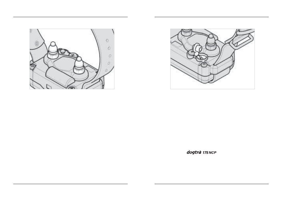 Dogtra 175NCP User Manual | Page 10 / 20