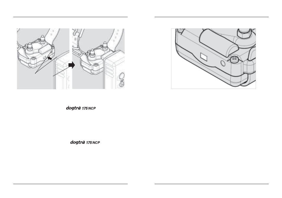 Dogtra 175NCP User Manual | Page 9 / 20