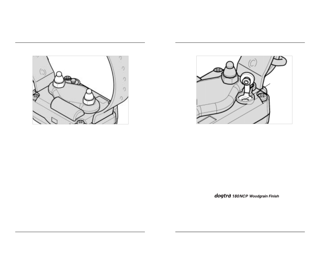 Dogtra 180NCP User Manual | Page 10 / 18