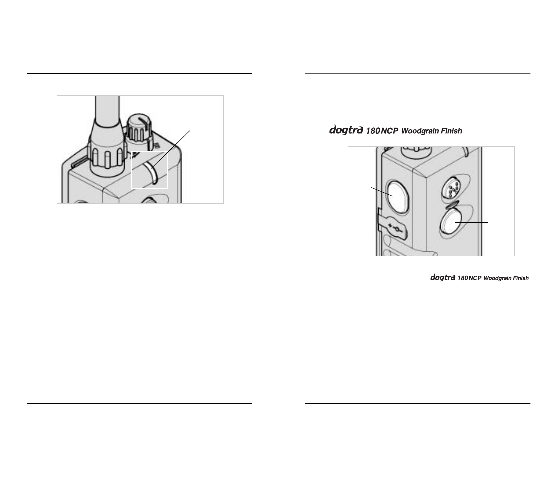 Button function | Dogtra 180NCP User Manual | Page 7 / 18