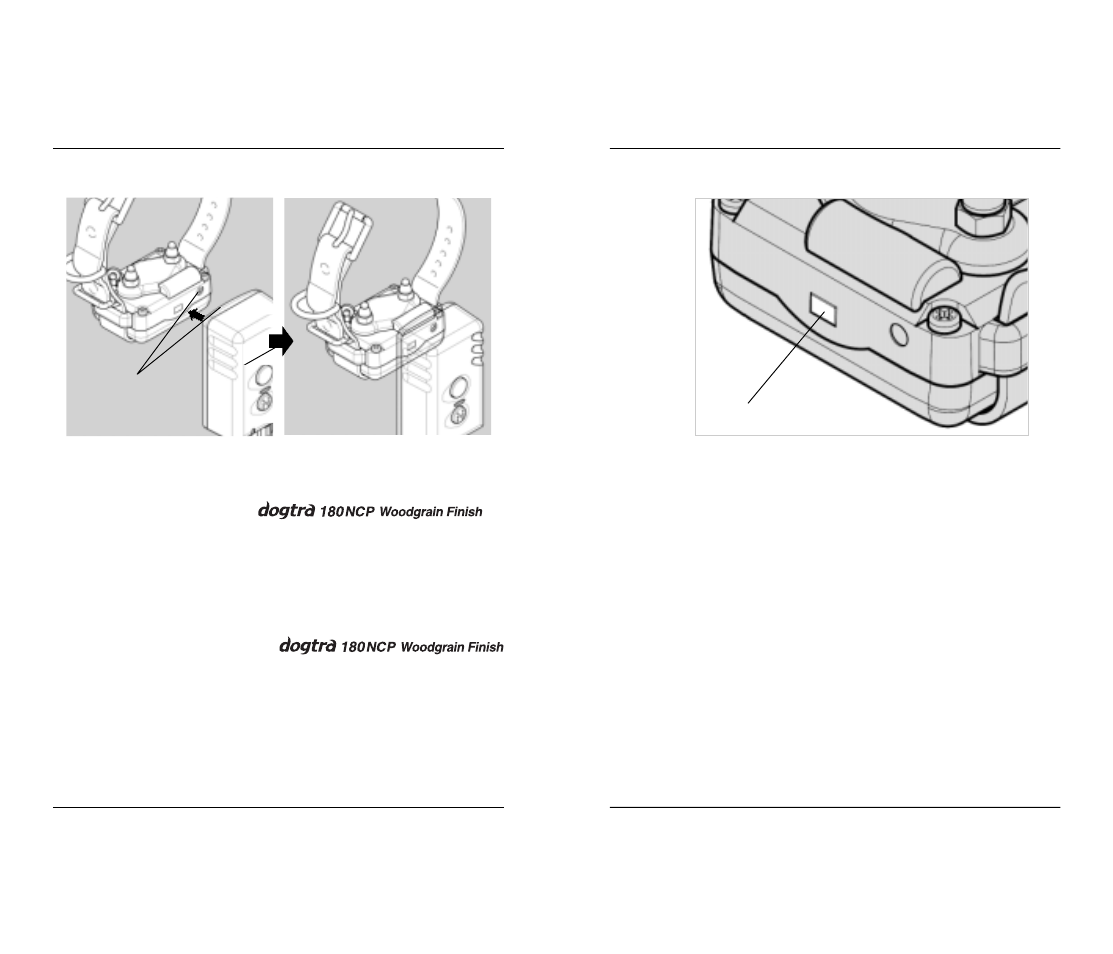 Dogtra 180NCP User Manual | Page 9 / 18