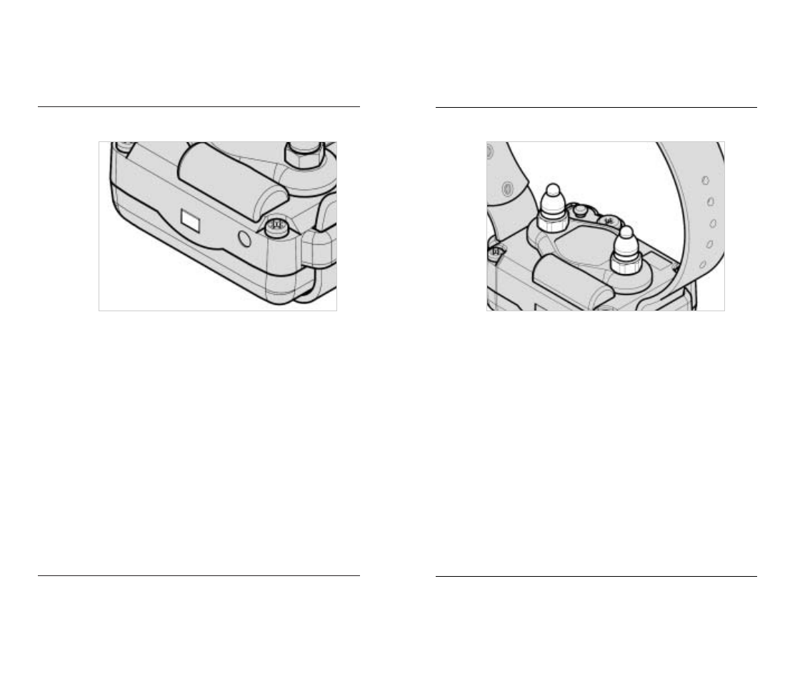 Dogtra 200 Series User Manual | Page 10 / 20