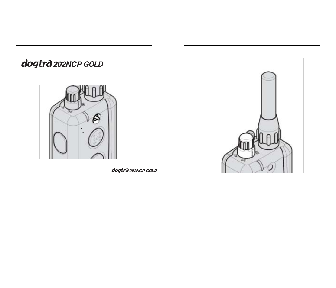 Two-dog models | Dogtra 200 Series User Manual | Page 6 / 20