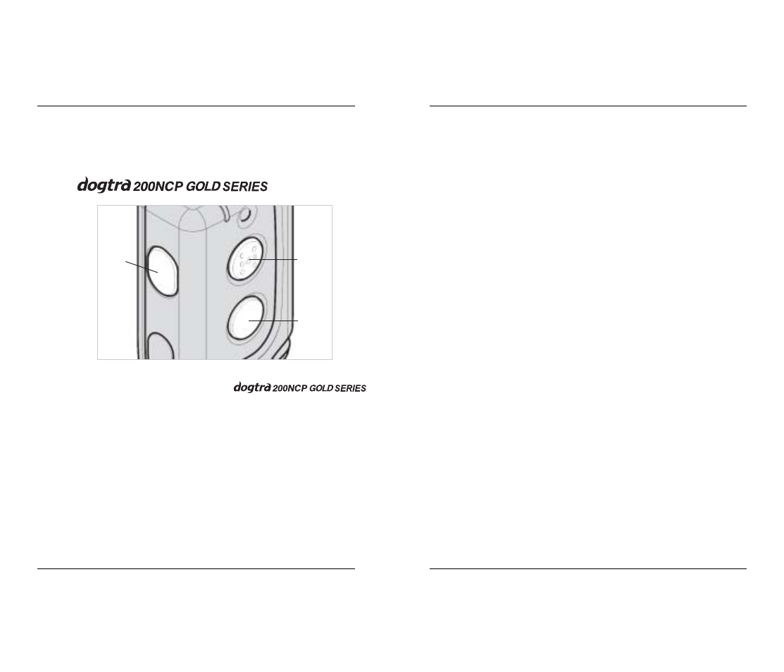 Button function | Dogtra 200 Series User Manual | Page 8 / 20