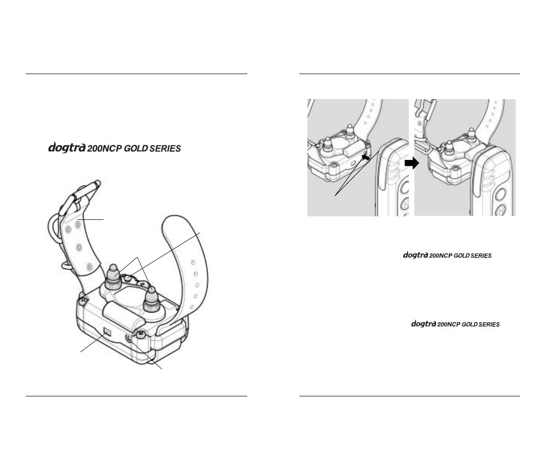 Description of collar / receiver parts | Dogtra 200 Series User Manual | Page 9 / 20