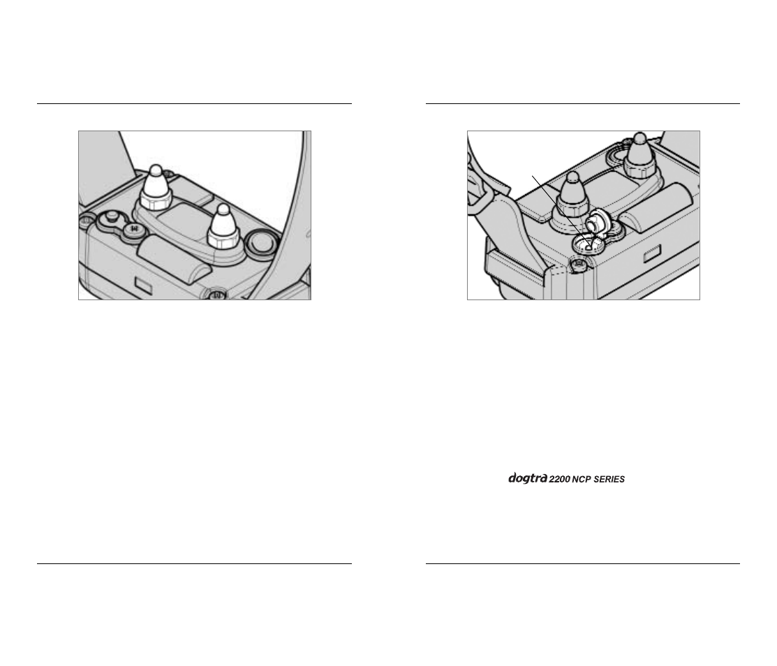 Dogtra 2200 Series User Manual | Page 10 / 18