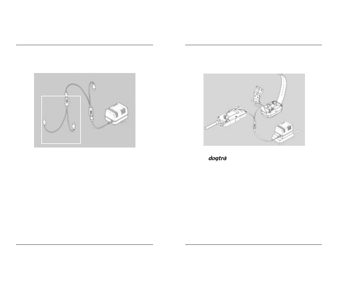 Battery charger, Charging the batteries | Dogtra 2200 Series User Manual | Page 11 / 18