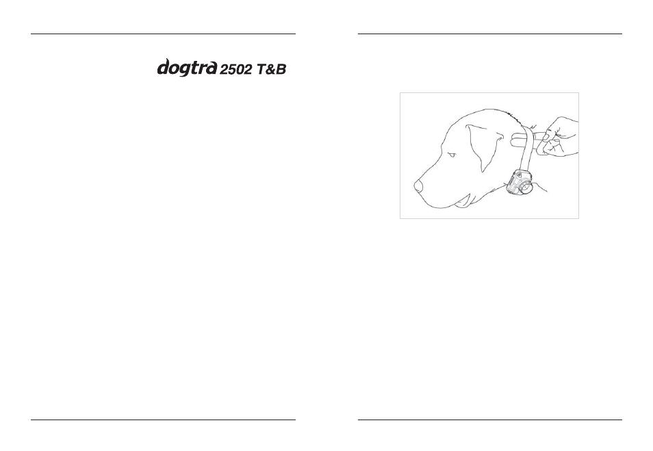 Testing your, Fitting the collar on the dog | Dogtra 2500B Series User Manual | Page 19 / 28