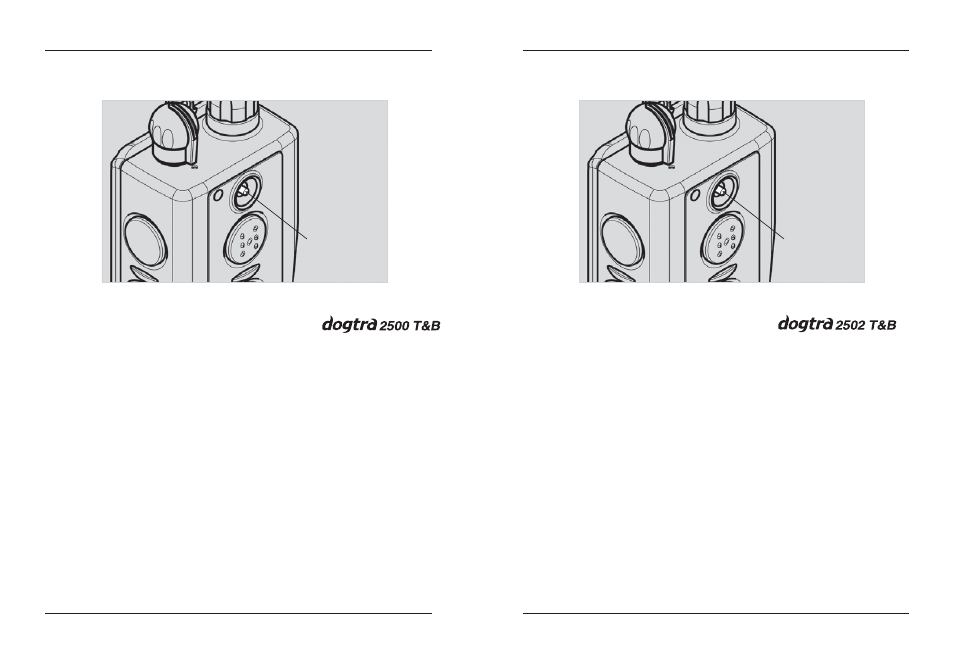 Dogtra 2500B Series User Manual | Page 8 / 28