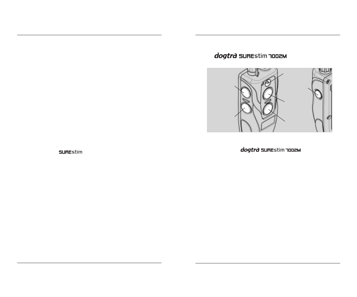 Dogtra 7000M Series User Manual | Page 10 / 24