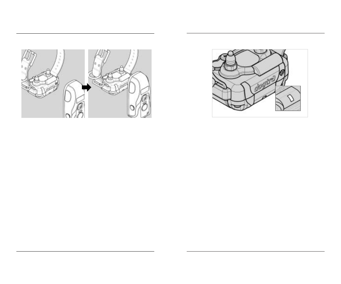 Dogtra 7000M Series User Manual | Page 12 / 24