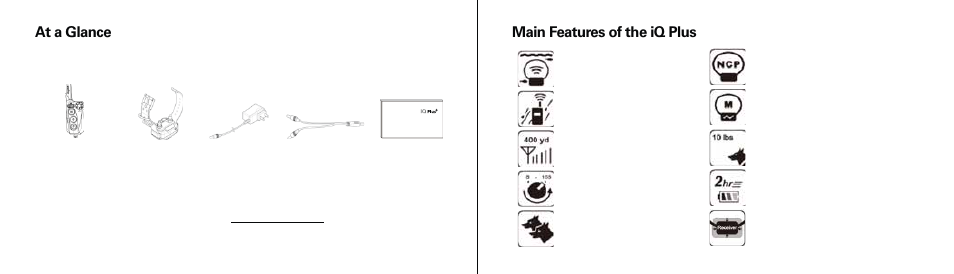 At a glance, Main features of the iq plus | Dogtra iQ Plus User Manual | Page 5 / 16
