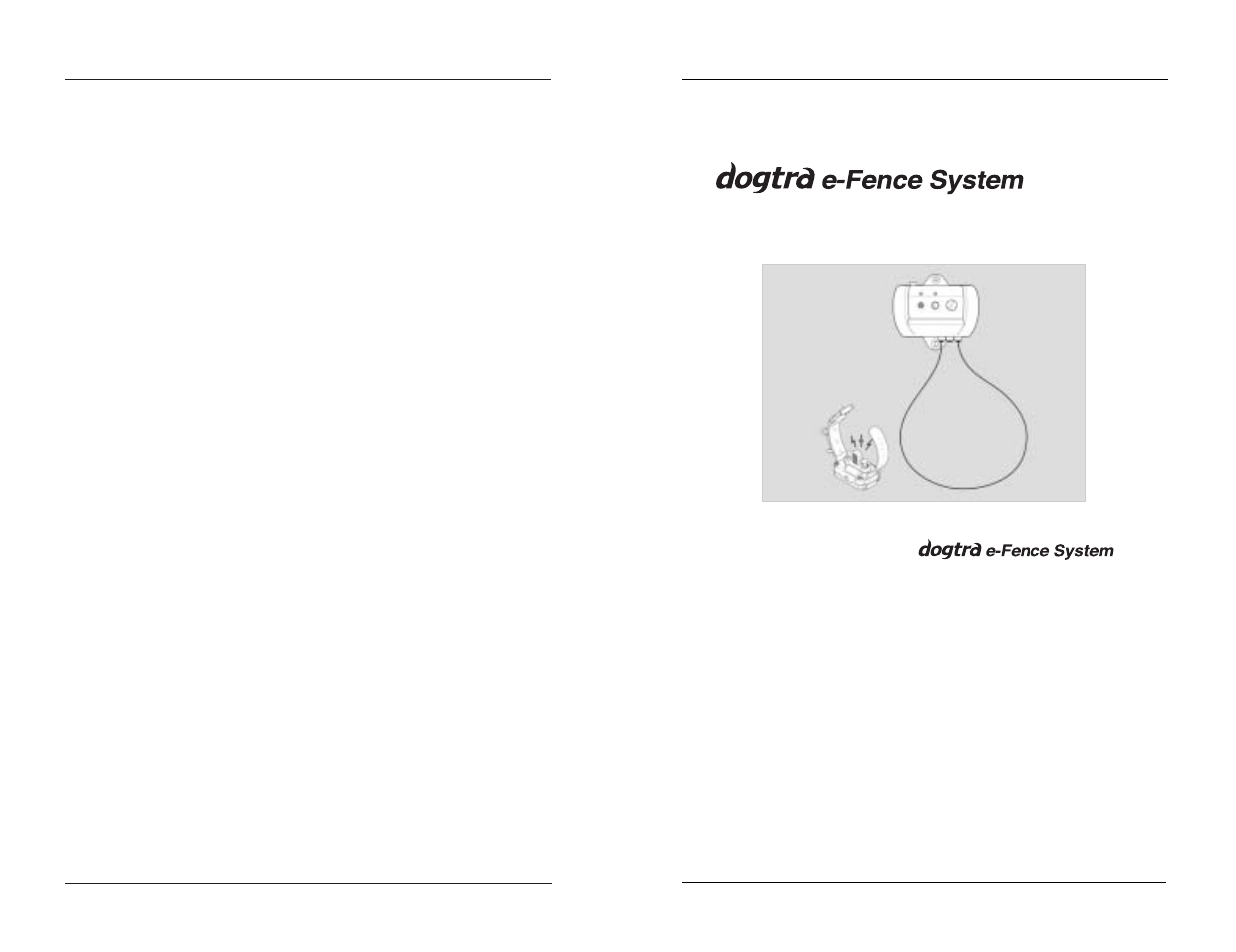 Testing your prior to installation | Dogtra eF-3000 User Manual | Page 13 / 26