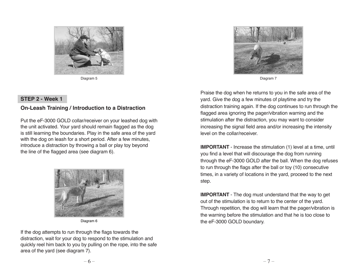 Dogtra Traning Book User Manual | Page 4 / 6
