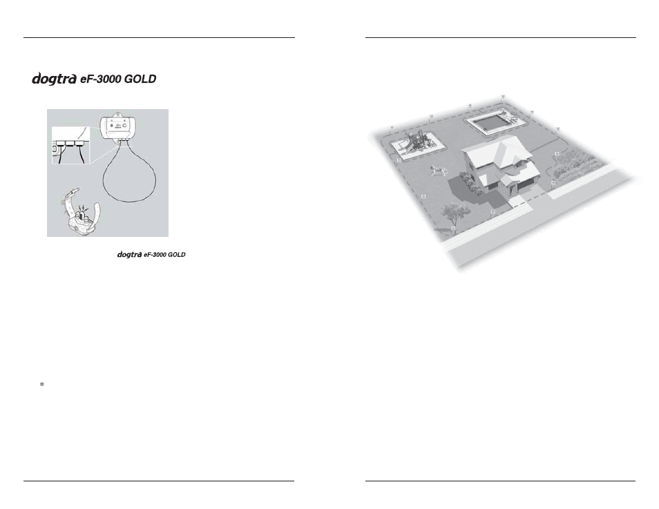 Dogtra eF-3000 Gold User Manual | Page 10 / 18