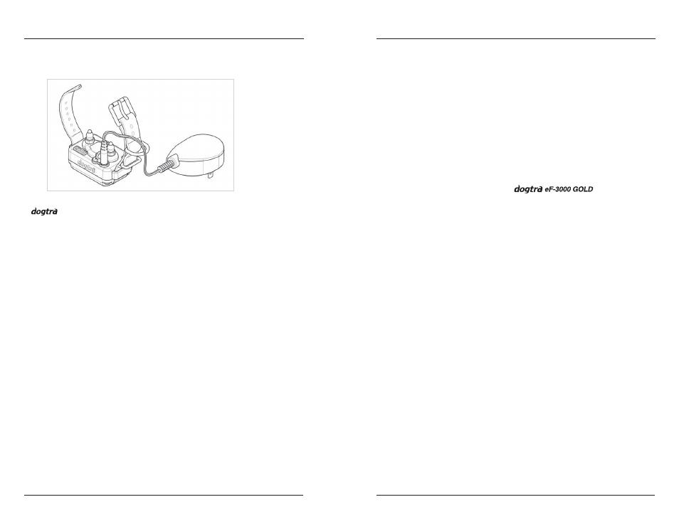 Charging the receiver/collar | Dogtra eF-3000 Gold User Manual | Page 9 / 18