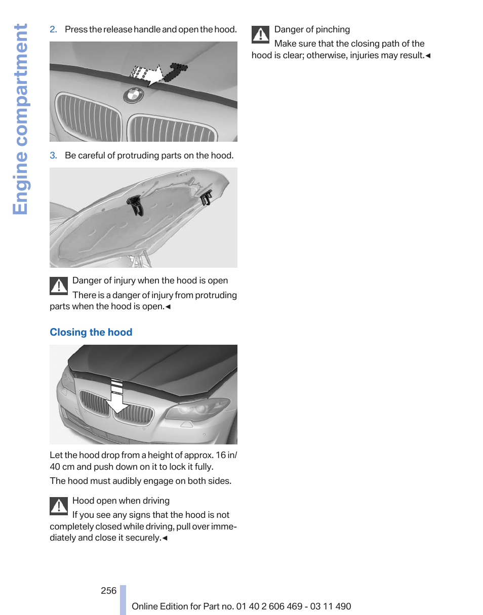 Engine compartment | BMW 550i xDrive Sedan 2011 User Manual | Page 256 / 304