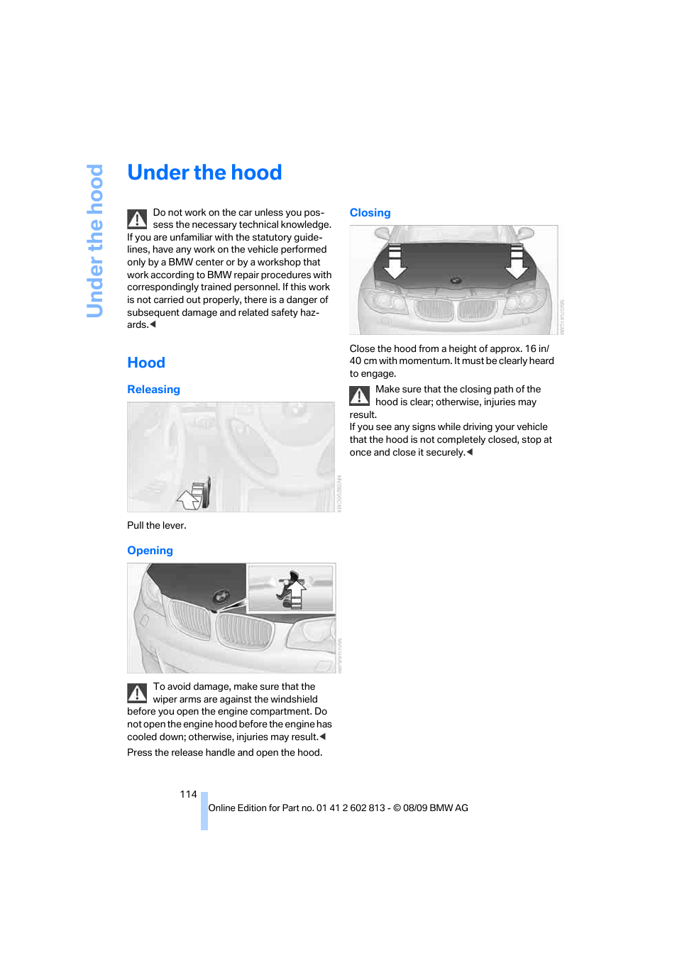 Under the hood, Hood | BMW 135i Convertible 2010 User Manual | Page 116 / 166