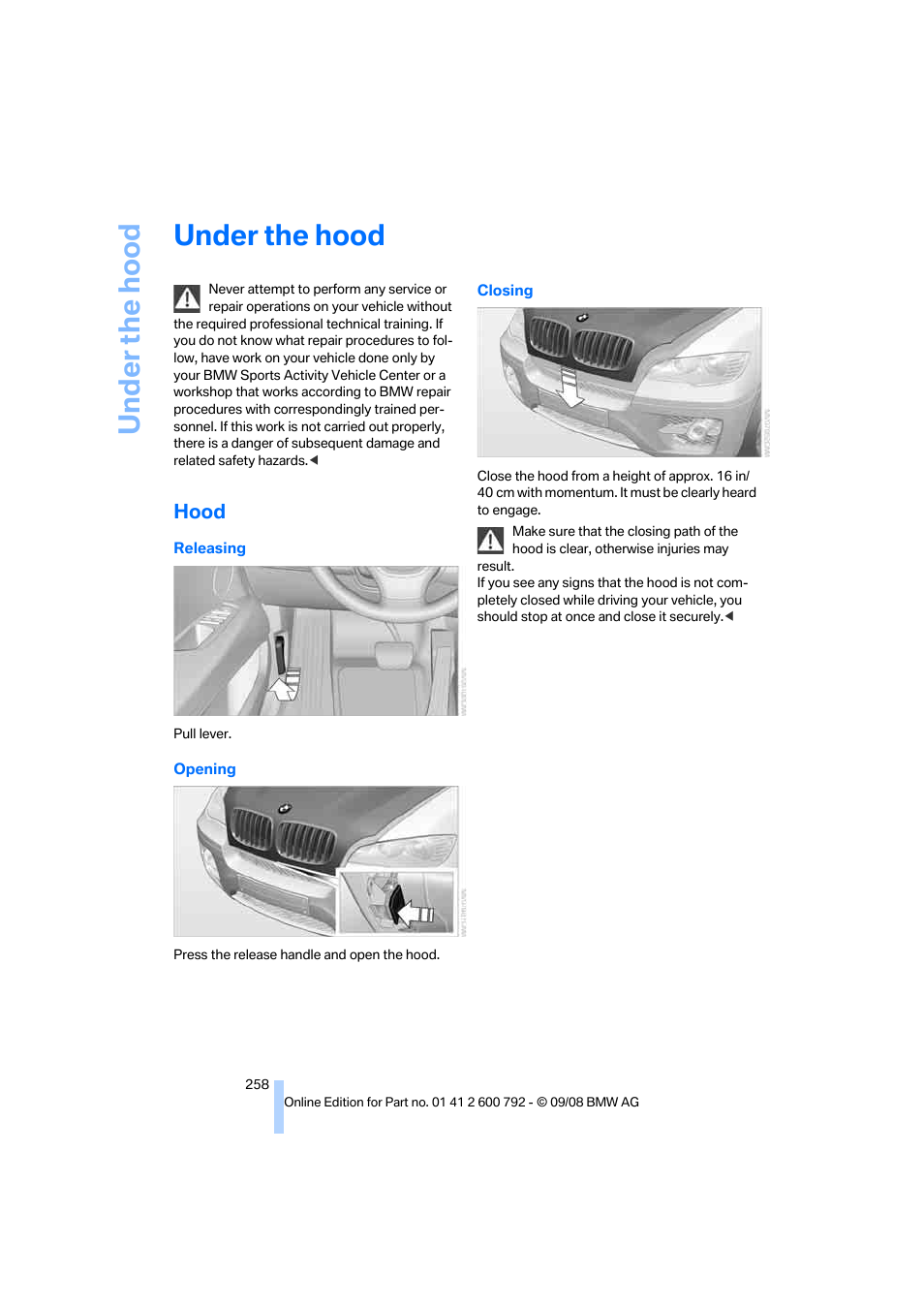 Under the hood, Hood | BMW X5 xDrive35d 2009 User Manual | Page 260 / 317