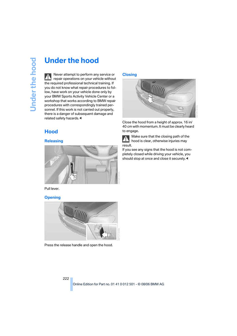 Under the hood, Hood | BMW X5 3.0si SAV 2007 User Manual | Page 224 / 272