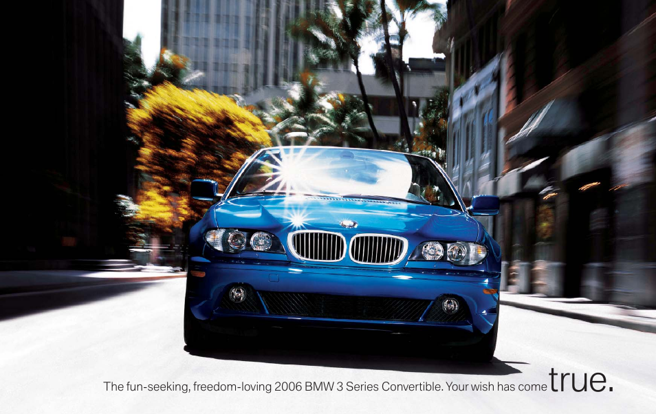 True | BMW 325Ci Convertible 2006 User Manual | Page 2 / 14