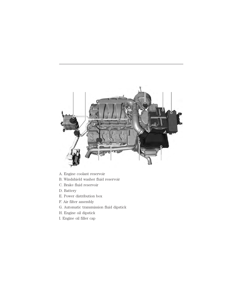 Under hood overview, 5l v6 engine, 282 maintenance | FORD 2015 Taurus User Manual | Page 283 / 558