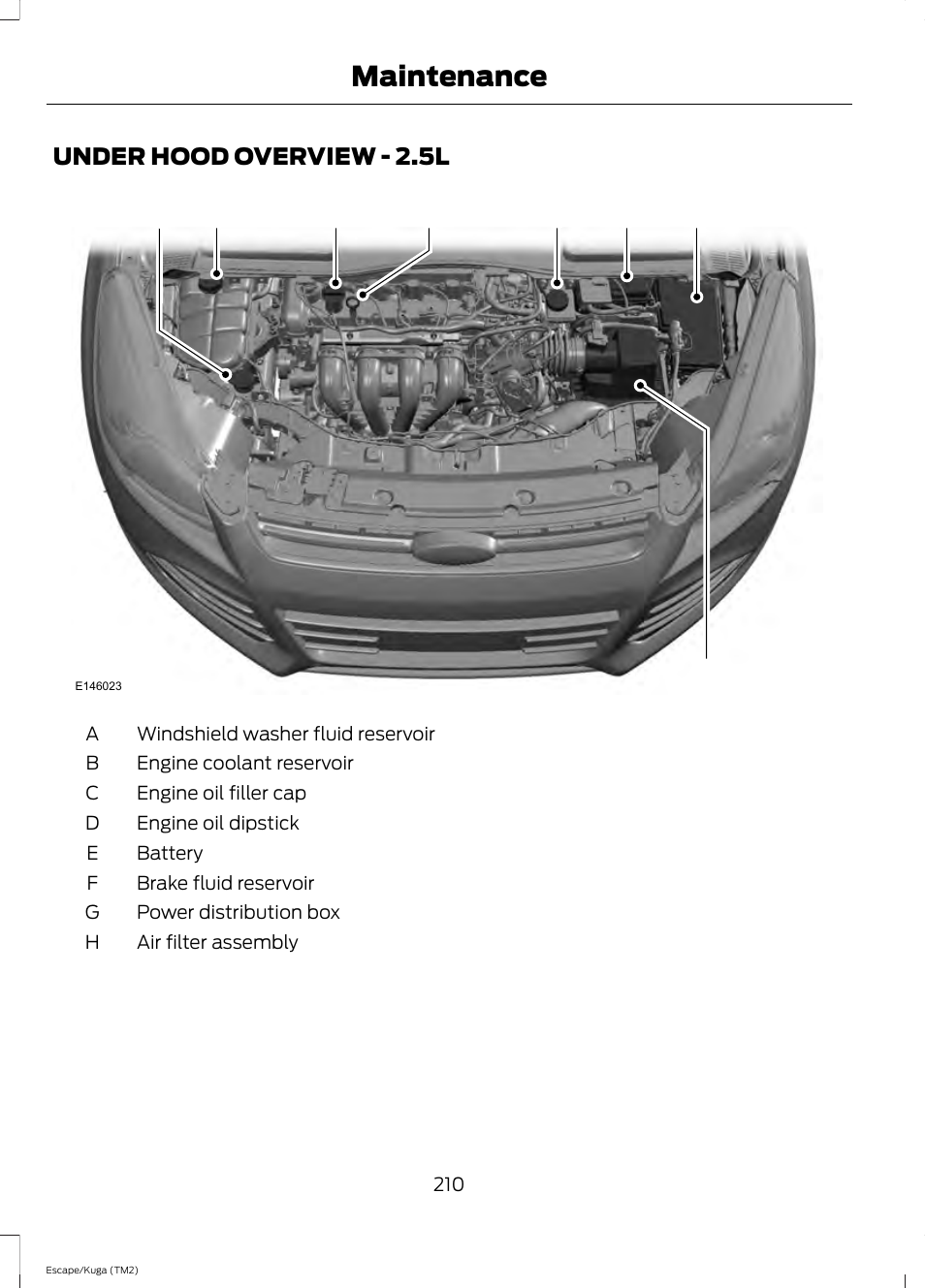 Under hood overview, Under hood overview - 2.5l, Maintenance | FORD 2014 Escape v.2 User Manual | Page 213 / 430