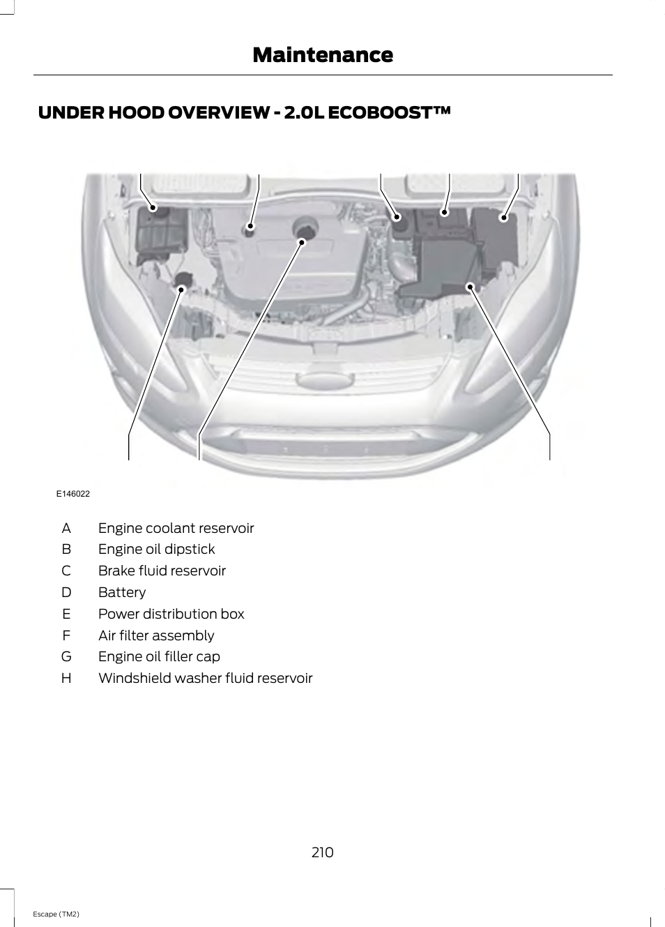 Under hood overview, Under hood overview - 2.0l, Ecoboost | Maintenance | FORD 2014 Escape v.3 User Manual | Page 213 / 434