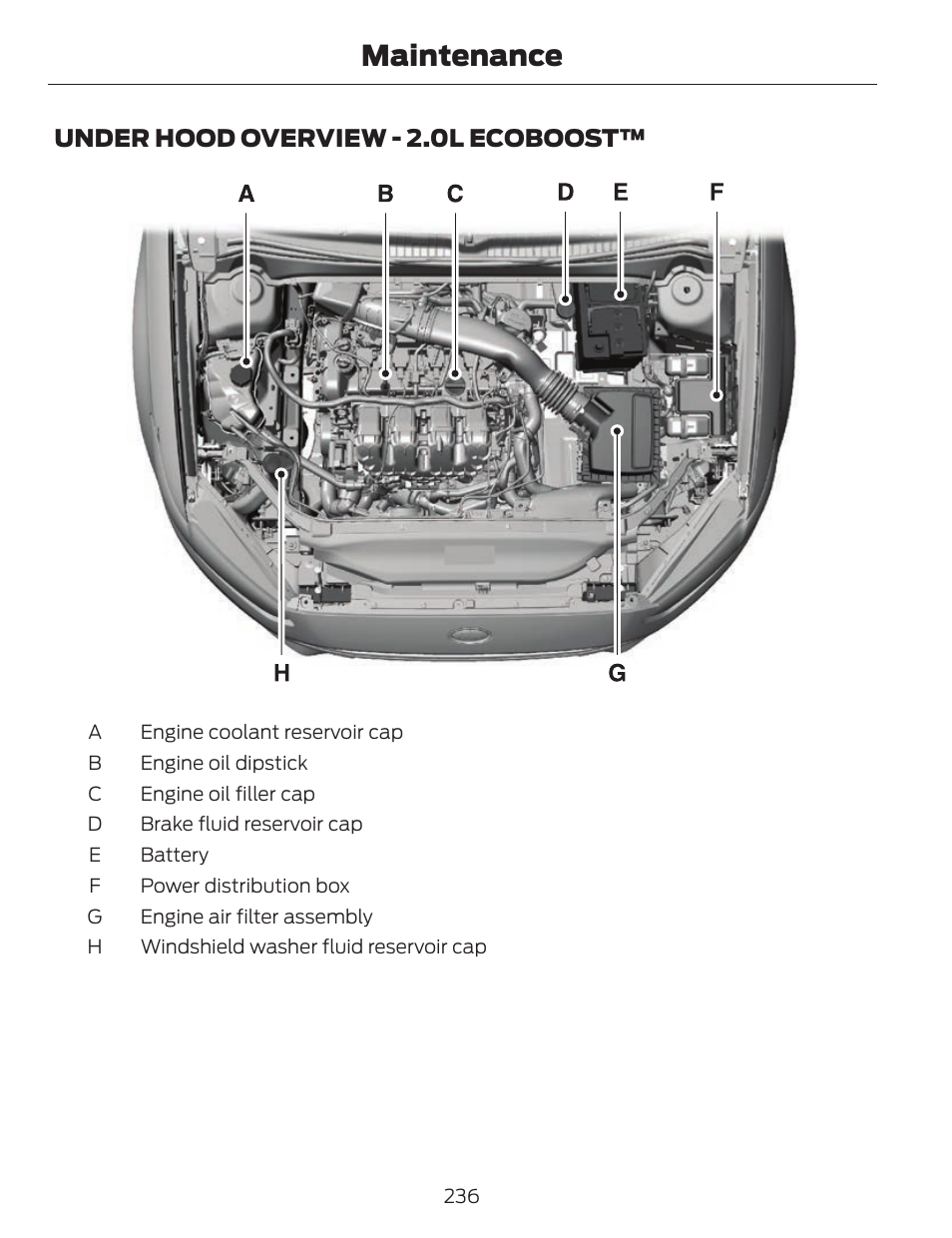 Maintenance, Under hood overview - 2.0l ecoboost | FORD 2014 Fusion v.1 User Manual | Page 239 / 457