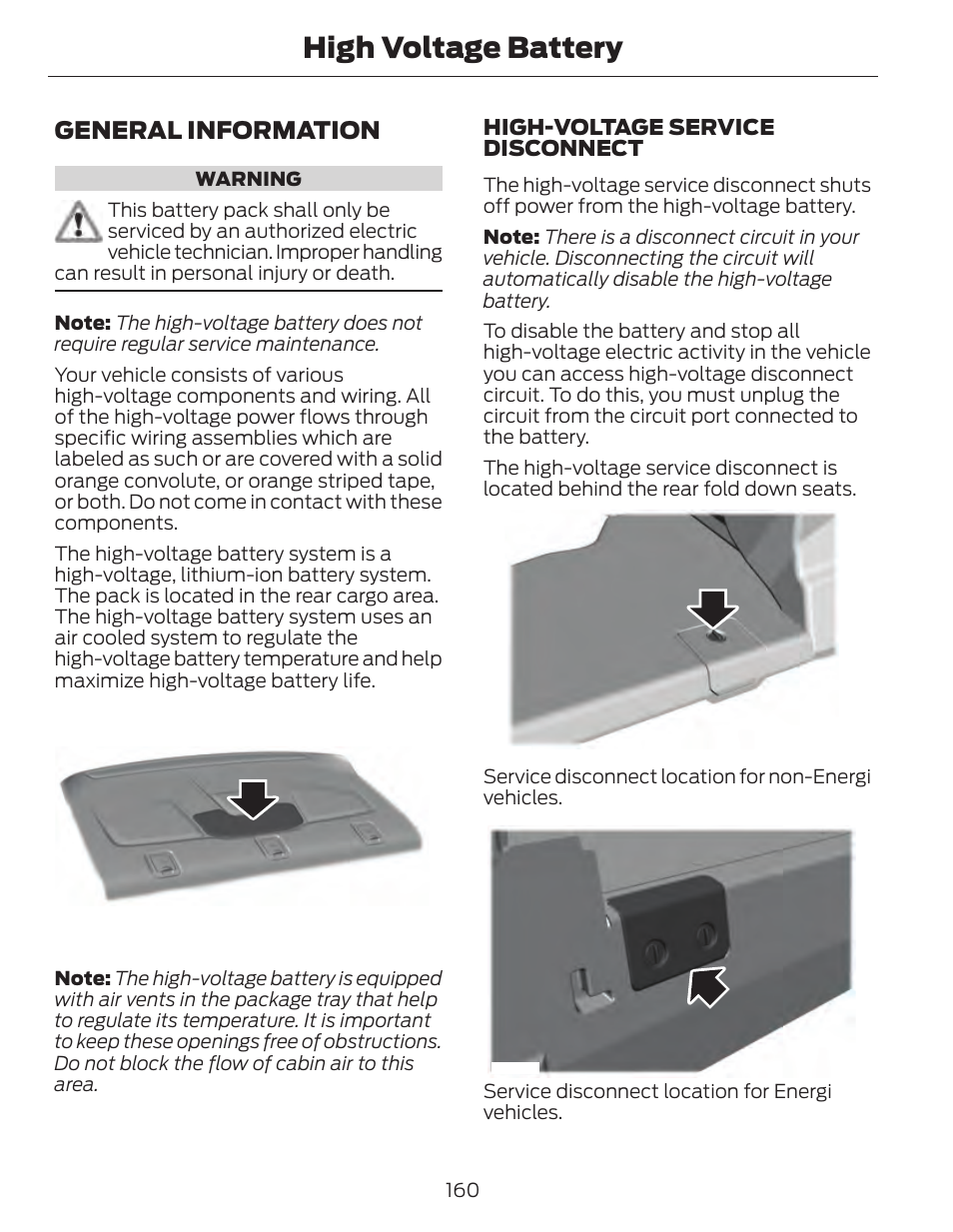 High voltage battery, General information | FORD 2014 Fusion Hybrid v.1 User Manual | Page 163 / 473
