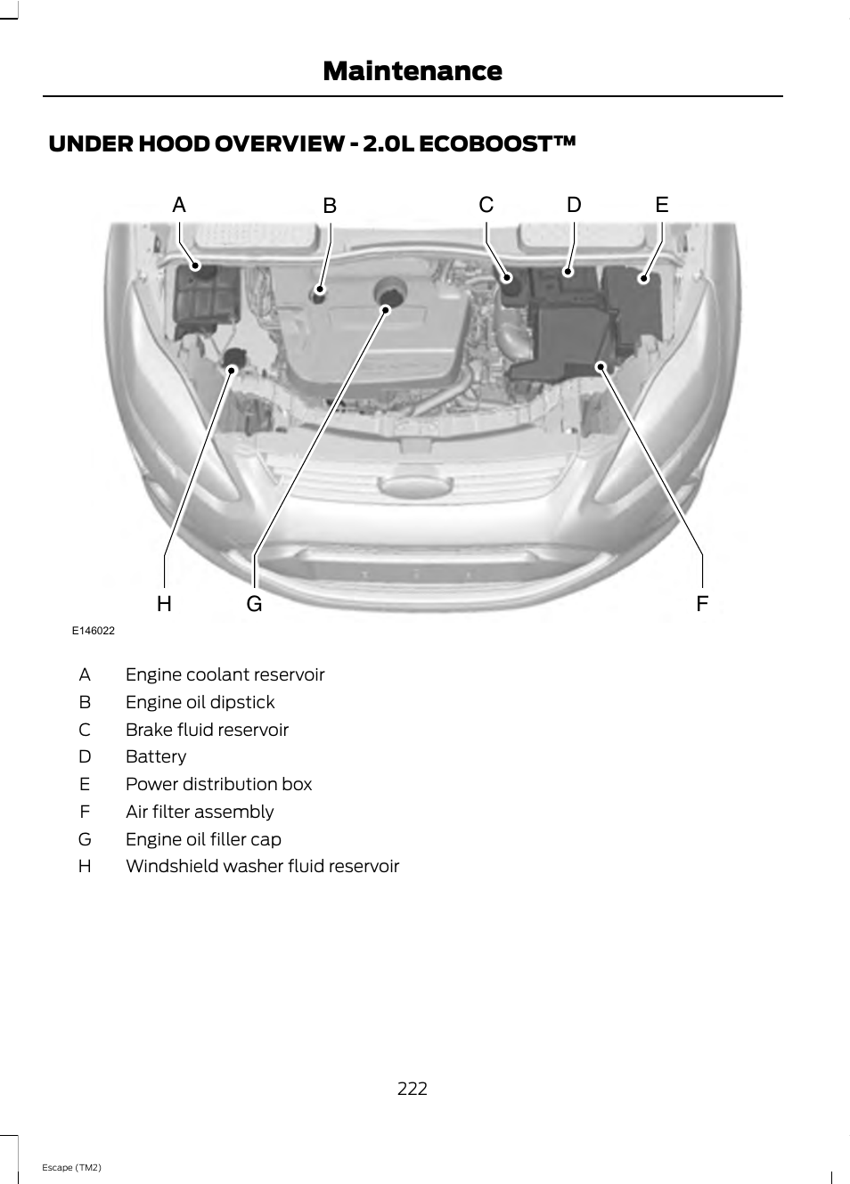 Maintenance | FORD 2013 Escape v.4 User Manual | Page 226 / 433