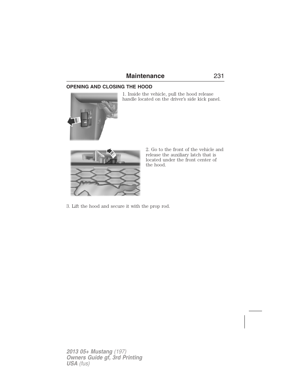 Opening and closing the hood | FORD 2013 Mustang v.3 User Manual | Page 232 / 447