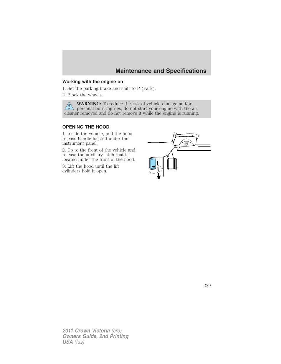 Working with the engine on, Opening the hood, Maintenance and specifications | FORD 2011 Crown Victoria v.2 User Manual | Page 229 / 331