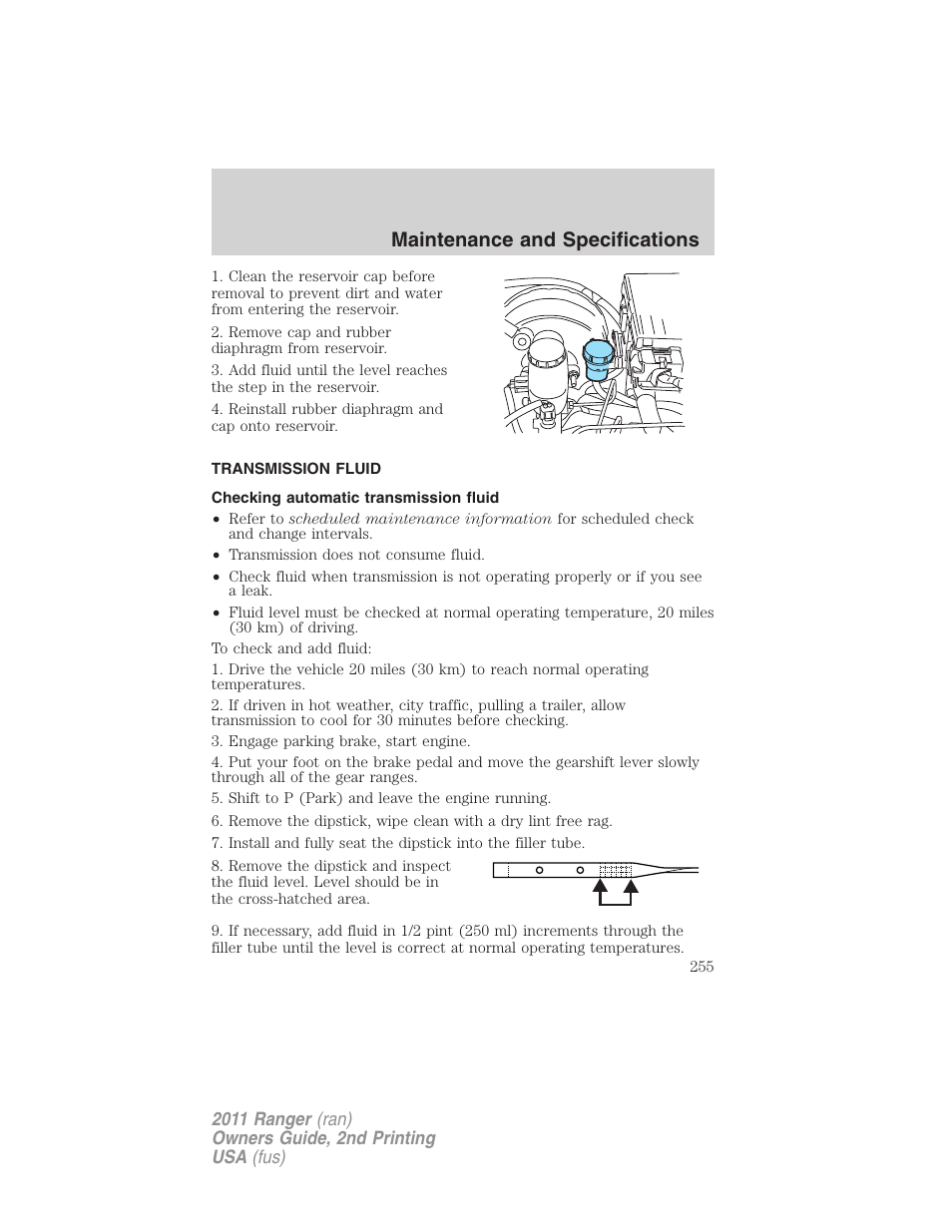 Transmission fluid, Checking automatic transmission fluid, Maintenance and specifications | FORD 2011 Ranger v.2 User Manual | Page 255 / 303