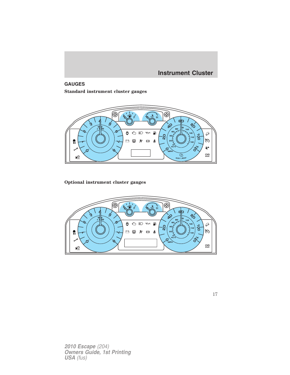 Gauges, Instrument cluster | FORD 2010 Escape v.1 User Manual | Page 17 / 345