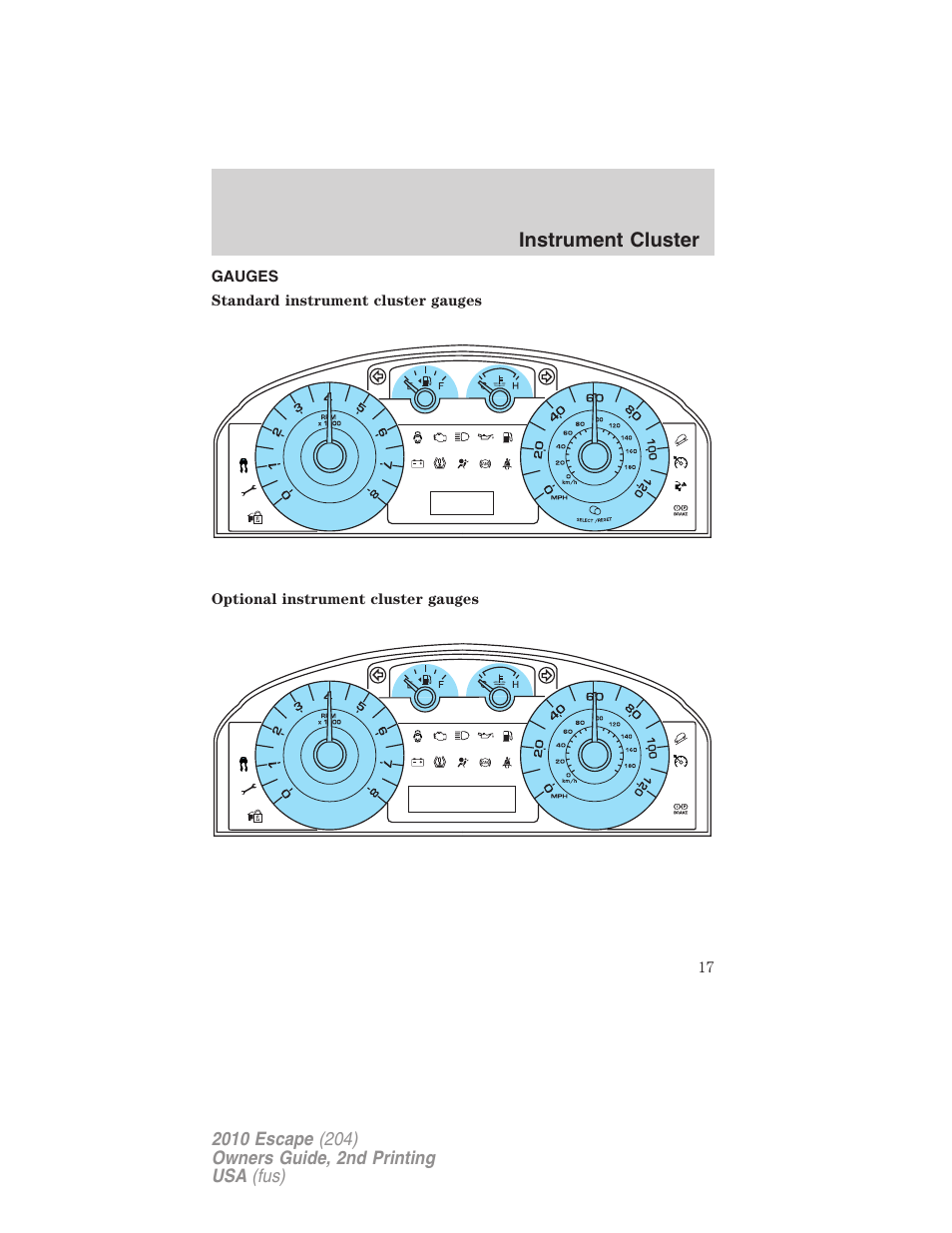 Gauges, Instrument cluster | FORD 2010 Escape v.2 User Manual | Page 17 / 344