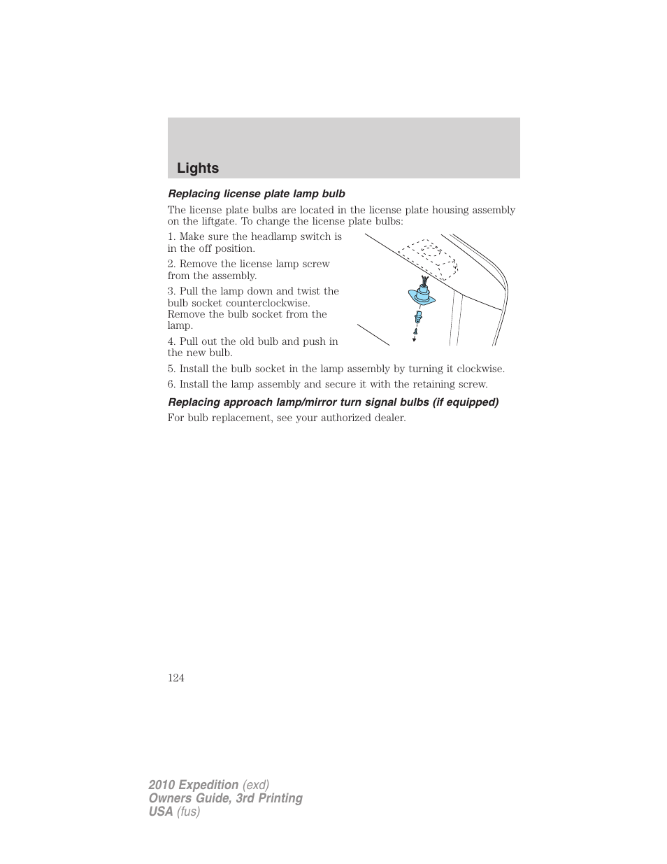 Replacing license plate lamp bulb, Lights | FORD 2010 Expedition v.3 User Manual | Page 124 / 422