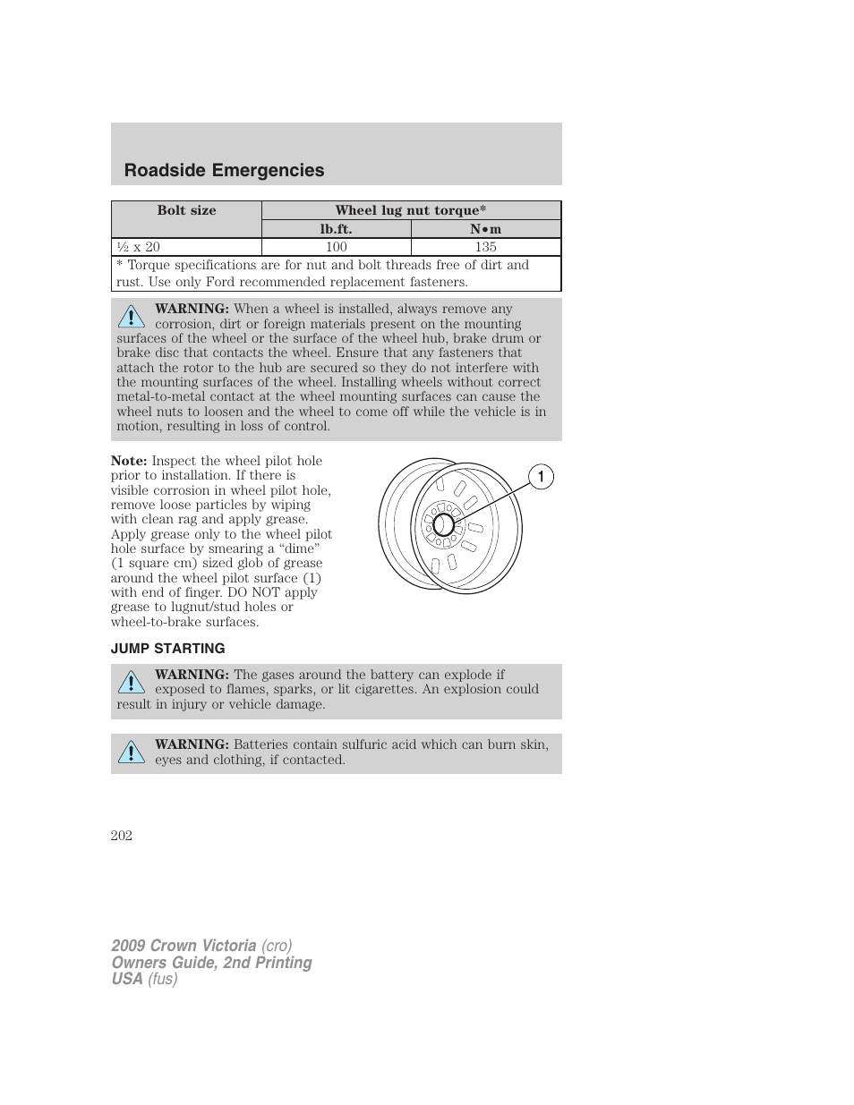 Jump starting, Roadside emergencies | FORD 2009 Crown Victoria v.2 User Manual | Page 202 / 271