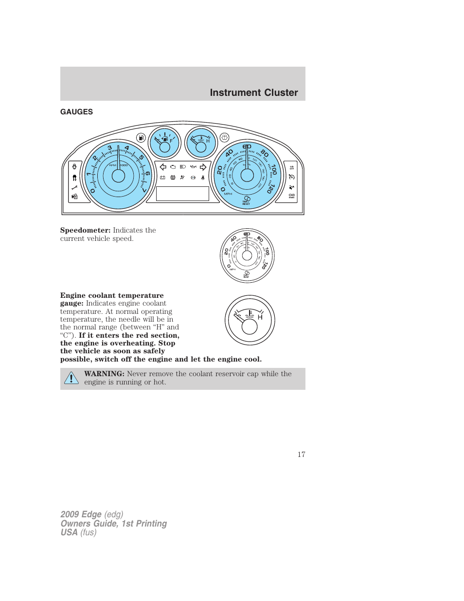 Gauges, Instrument cluster | FORD 2009 Edge v.1 User Manual | Page 17 / 320