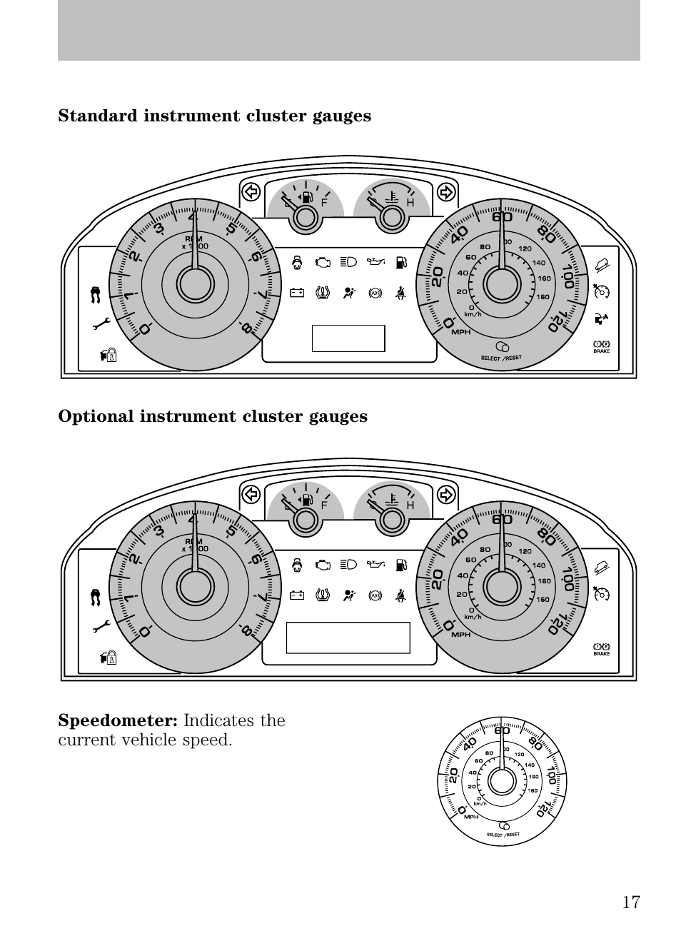 Gauges, Instrument cluster | FORD 2009 Escape v.1 User Manual | Page 17 / 318