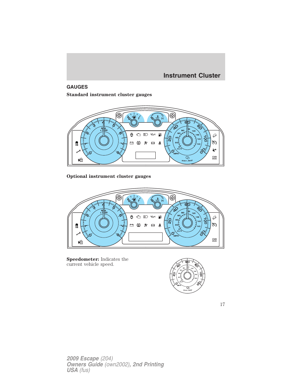 Gauges, Instrument cluster | FORD 2009 Escape v.2 User Manual | Page 17 / 310