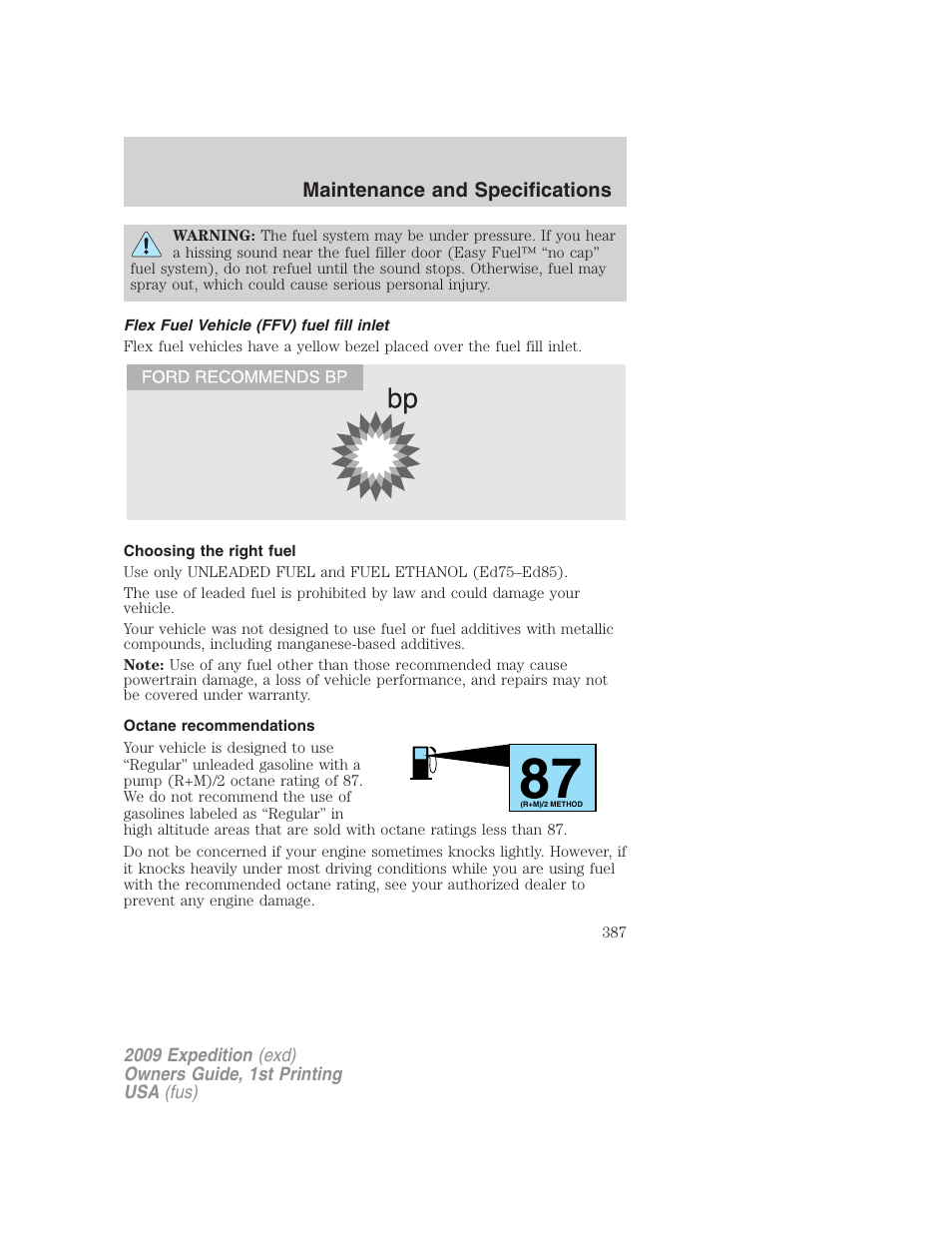 Flex fuel vehicle (ffv) fuel fill inlet, Choosing the right fuel, Octane recommendations | FORD 2009 Expedition v.1 User Manual | Page 387 / 416