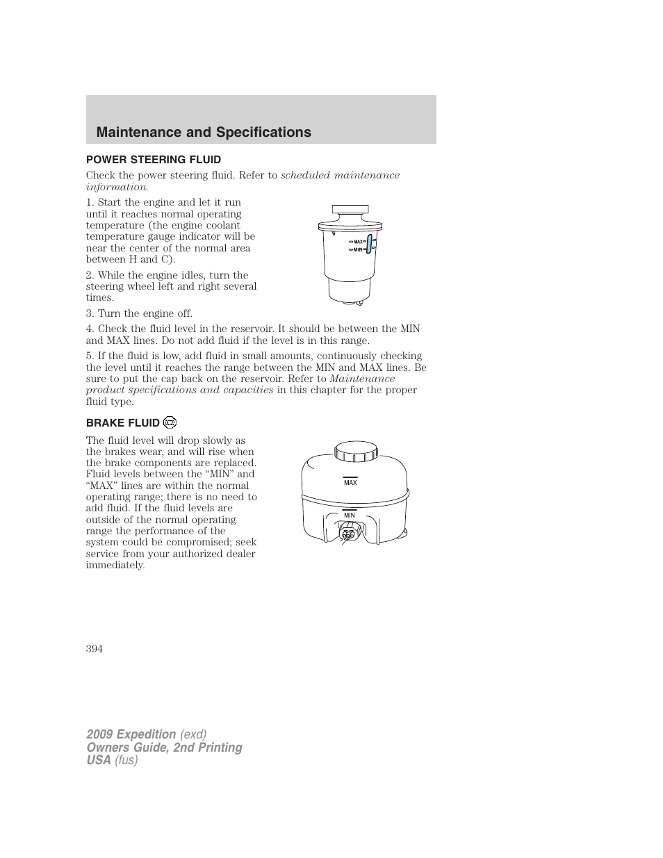 Power steering fluid, Brake fluid, Maintenance and specifications | FORD 2009 Expedition v.2 User Manual | Page 394 / 415