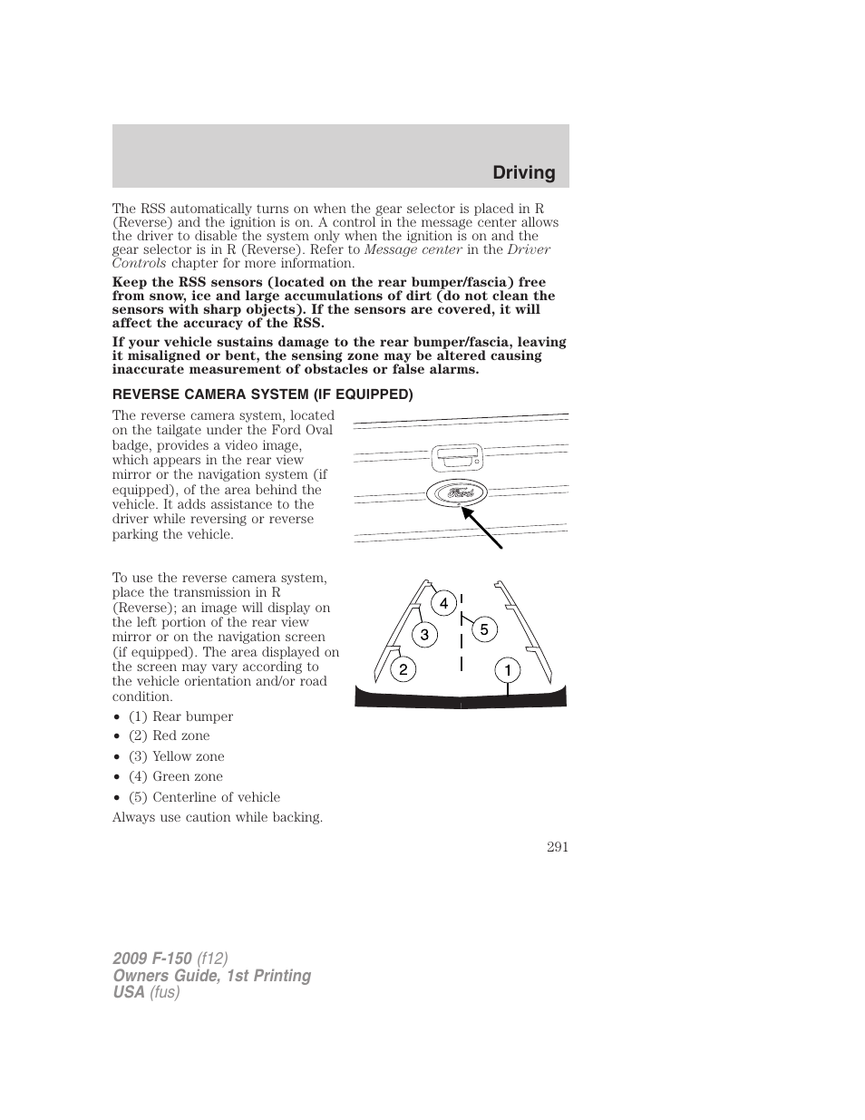 Reverse camera system (if equipped), Reverse camera, Driving | FORD 2009 F-150 v.1 User Manual | Page 291 / 405