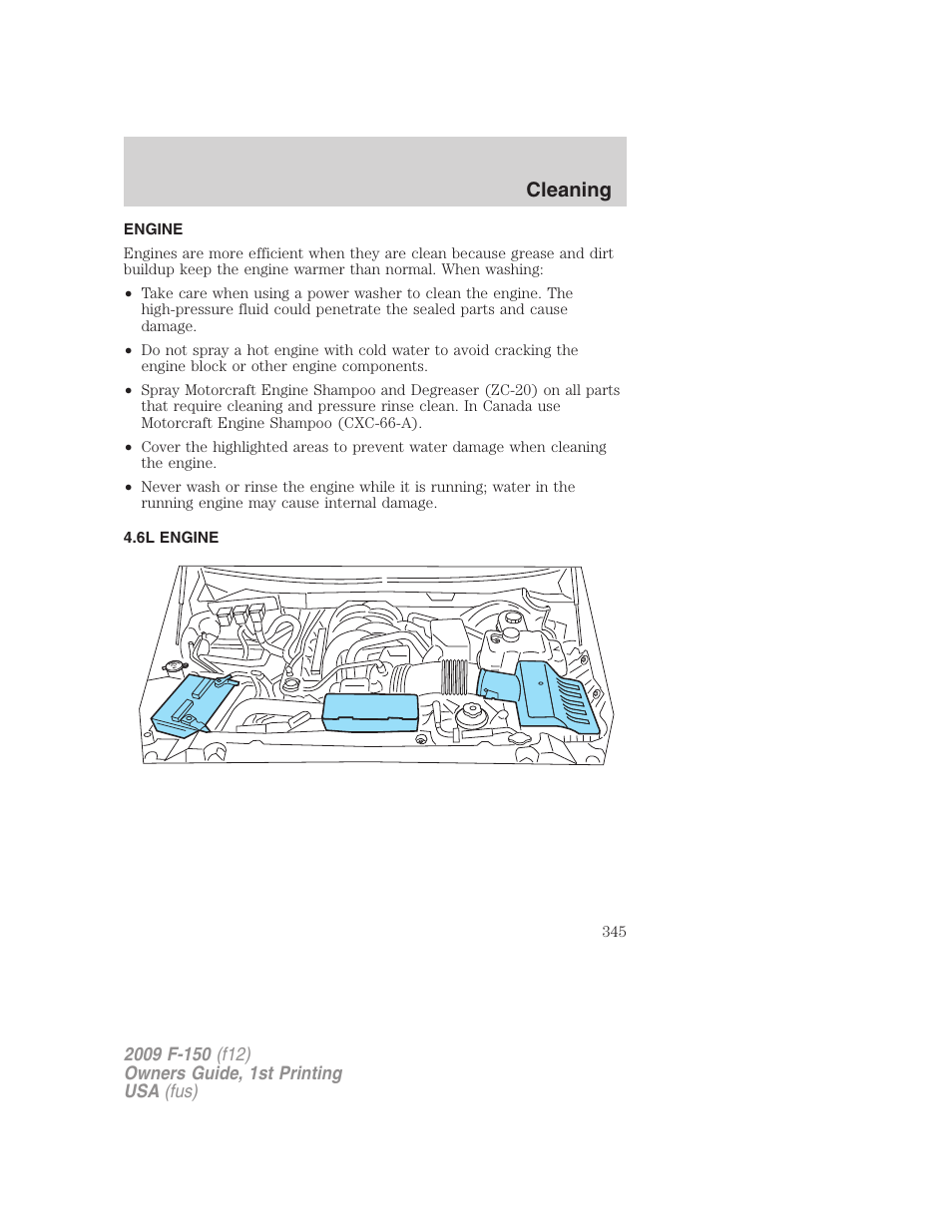 Engine, 6l engine, Cleaning | FORD 2009 F-150 v.1 User Manual | Page 345 / 405