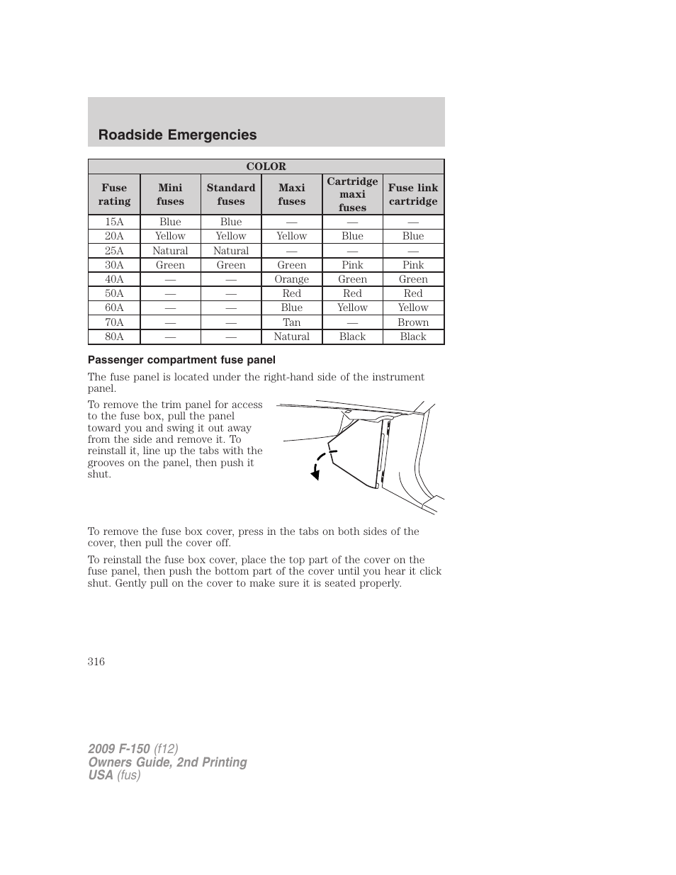 Passenger compartment fuse panel, Roadside emergencies | FORD 2009 F-150 v.2 User Manual | Page 316 / 409