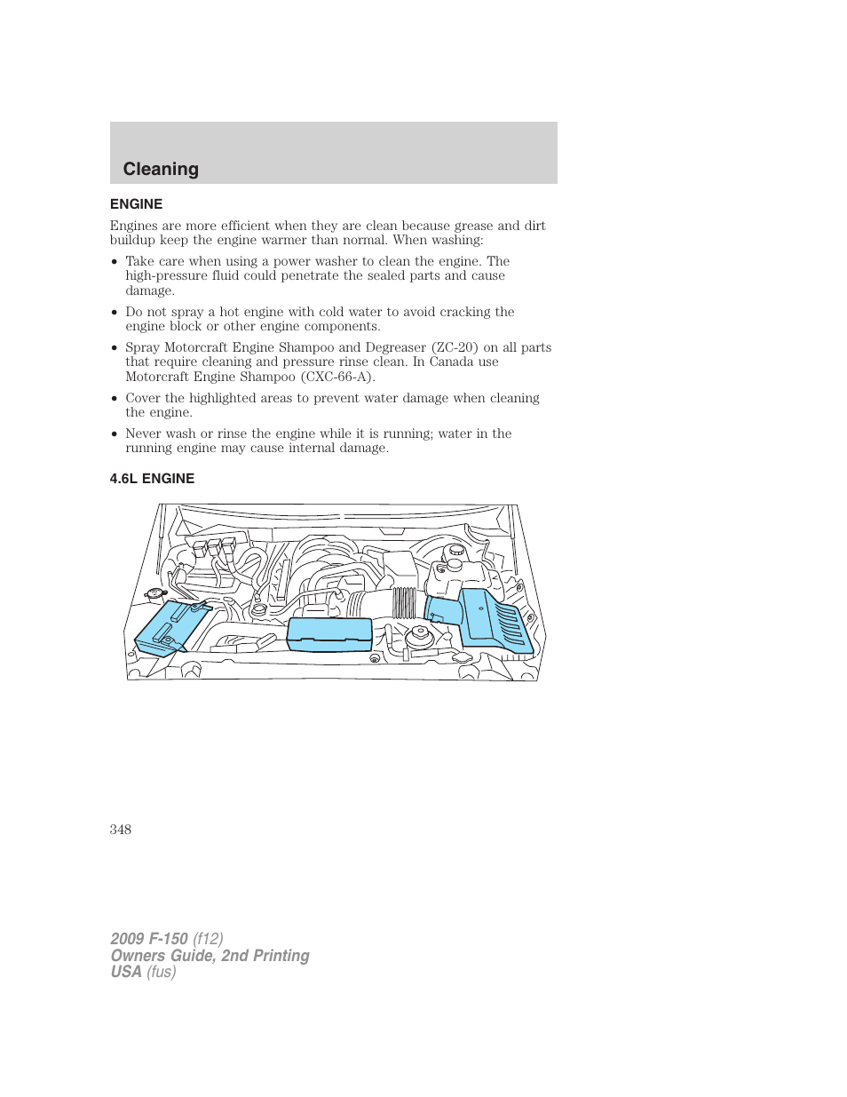 Engine, 6l engine, Cleaning | FORD 2009 F-150 v.2 User Manual | Page 348 / 409